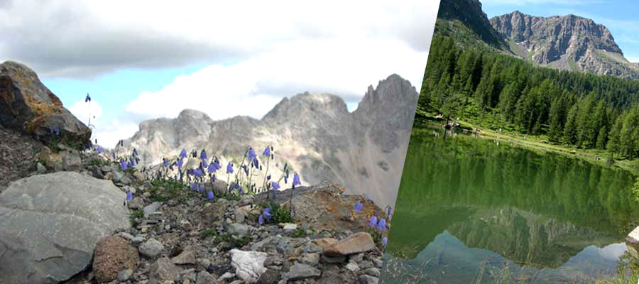 Residence Rododendro appartamenti in affitto per settimane bianche in Trentino vicino alle piste da sci, snowpark e sci di fondo a Moena in Val di Fassa